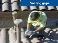 pest control tech inspecting and sealing entry points in tucson homes roof
