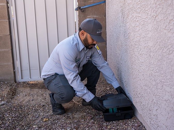 rodent control service in tucson