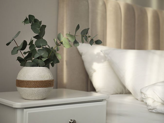 bed bugs hide in beds, on headboard, nightstands and more