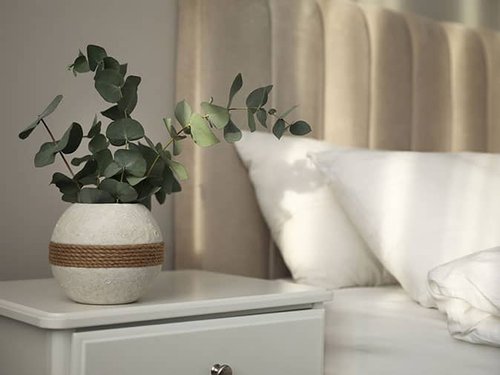 common bed bug hiding places