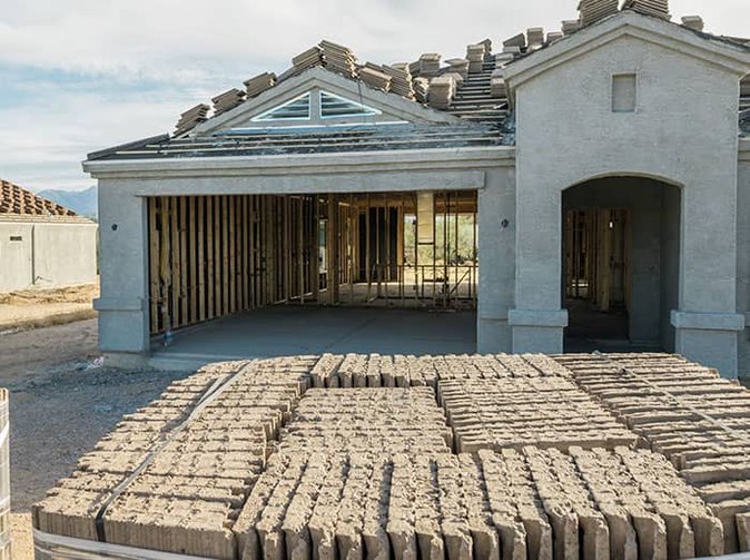 pest problems are common in new homes in tucson