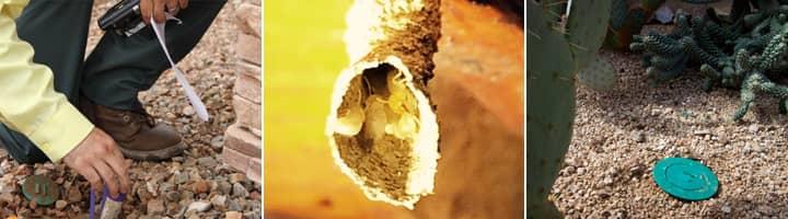 Learn More About How We Get Rid Of Termites Around Arizona Homes multiple pictures of a sentricon system being installed for termite protection