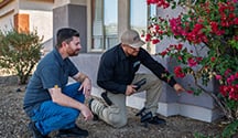 tucson pest pro with homeowner