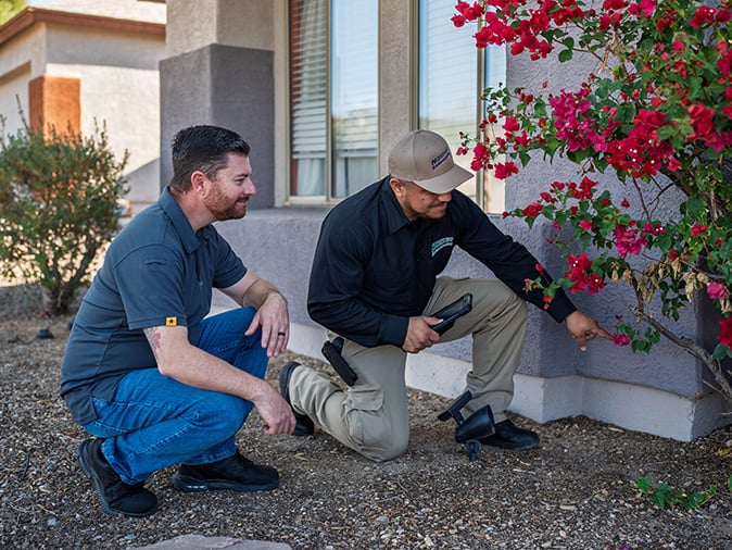 tucson pest control inspection