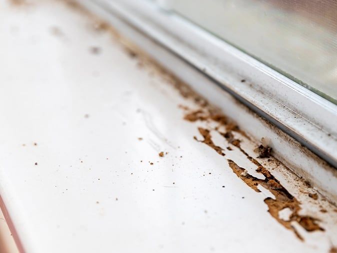 water damaged wood that attracts termites