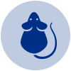 rodent control icon