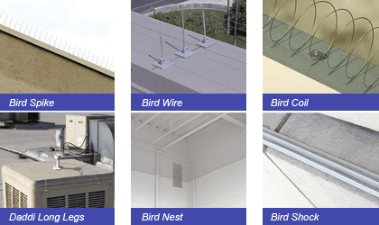 bird control solutions